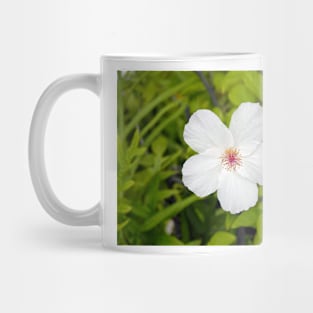 White Hibiscus Mug